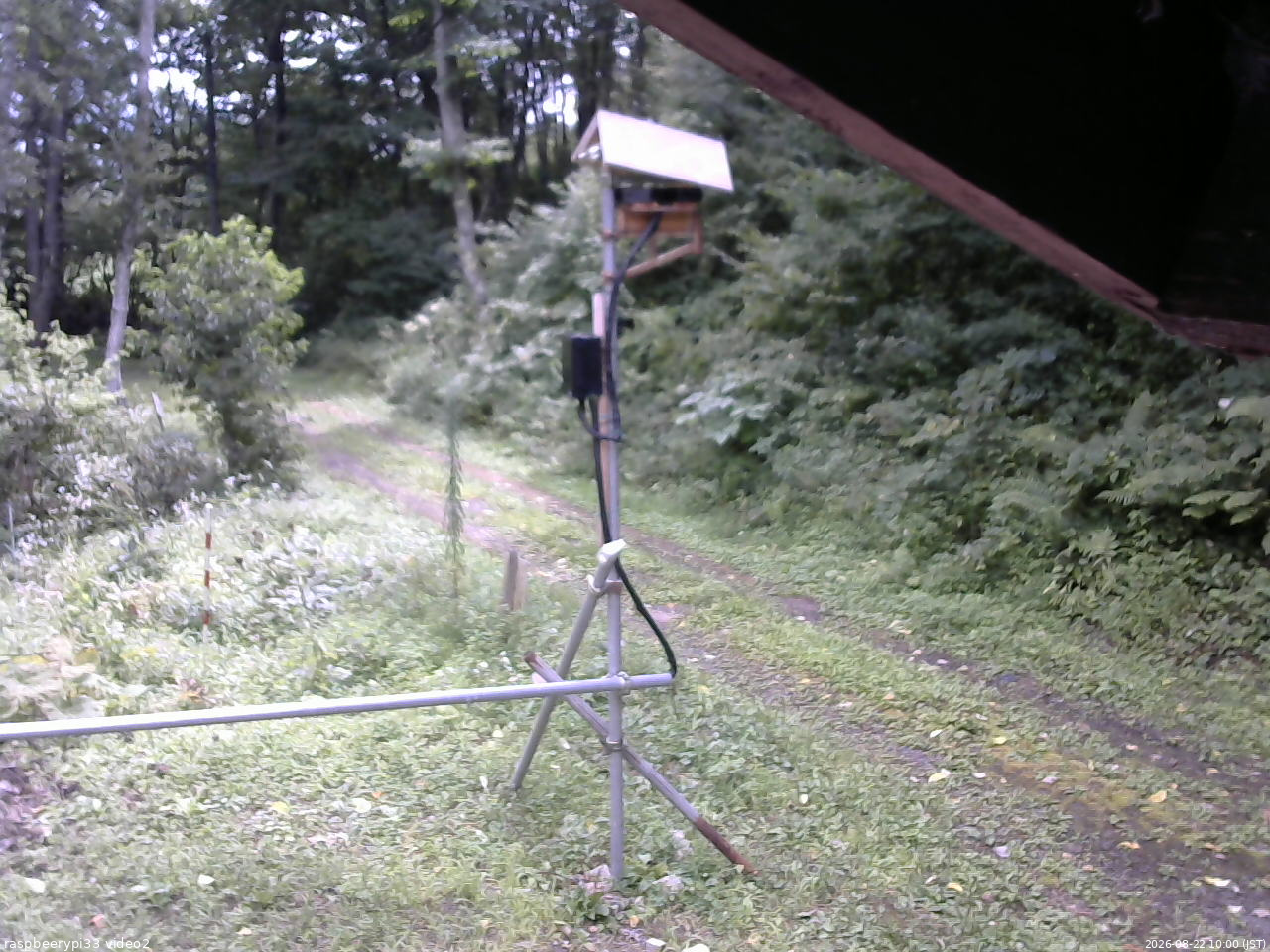 長野県菅平高原 ゆたか山荘 南側 2026/08/22 10:00
