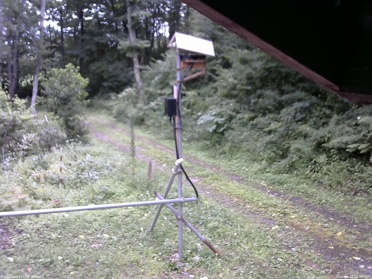 長野県菅平高原 ゆたか山荘 南側 2026/08/22 10:30