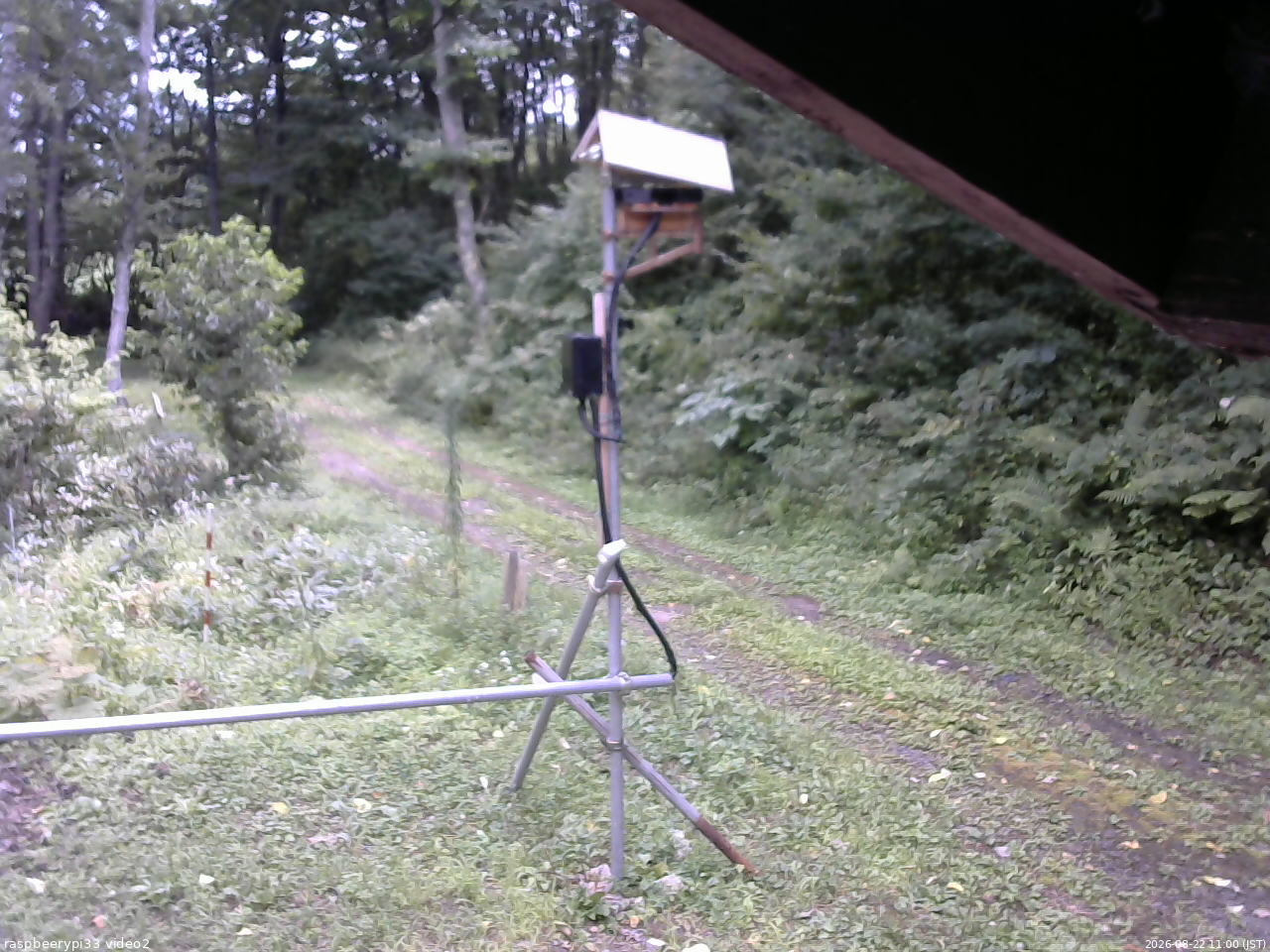 長野県菅平高原 ゆたか山荘 南側 2026/08/22 11:00