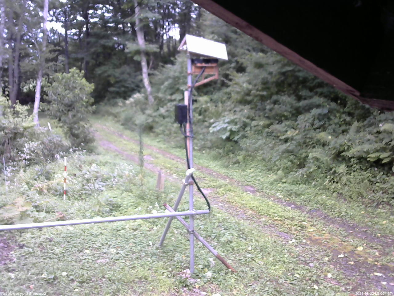 長野県菅平高原 ゆたか山荘 南側 2026/08/22 15:00