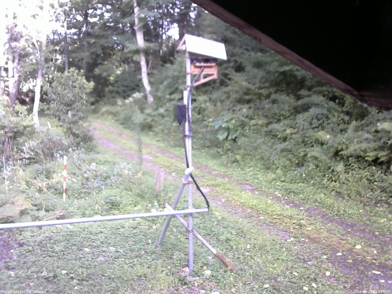 長野県菅平高原 ゆたか山荘 南側 2026/08/22 15:45
