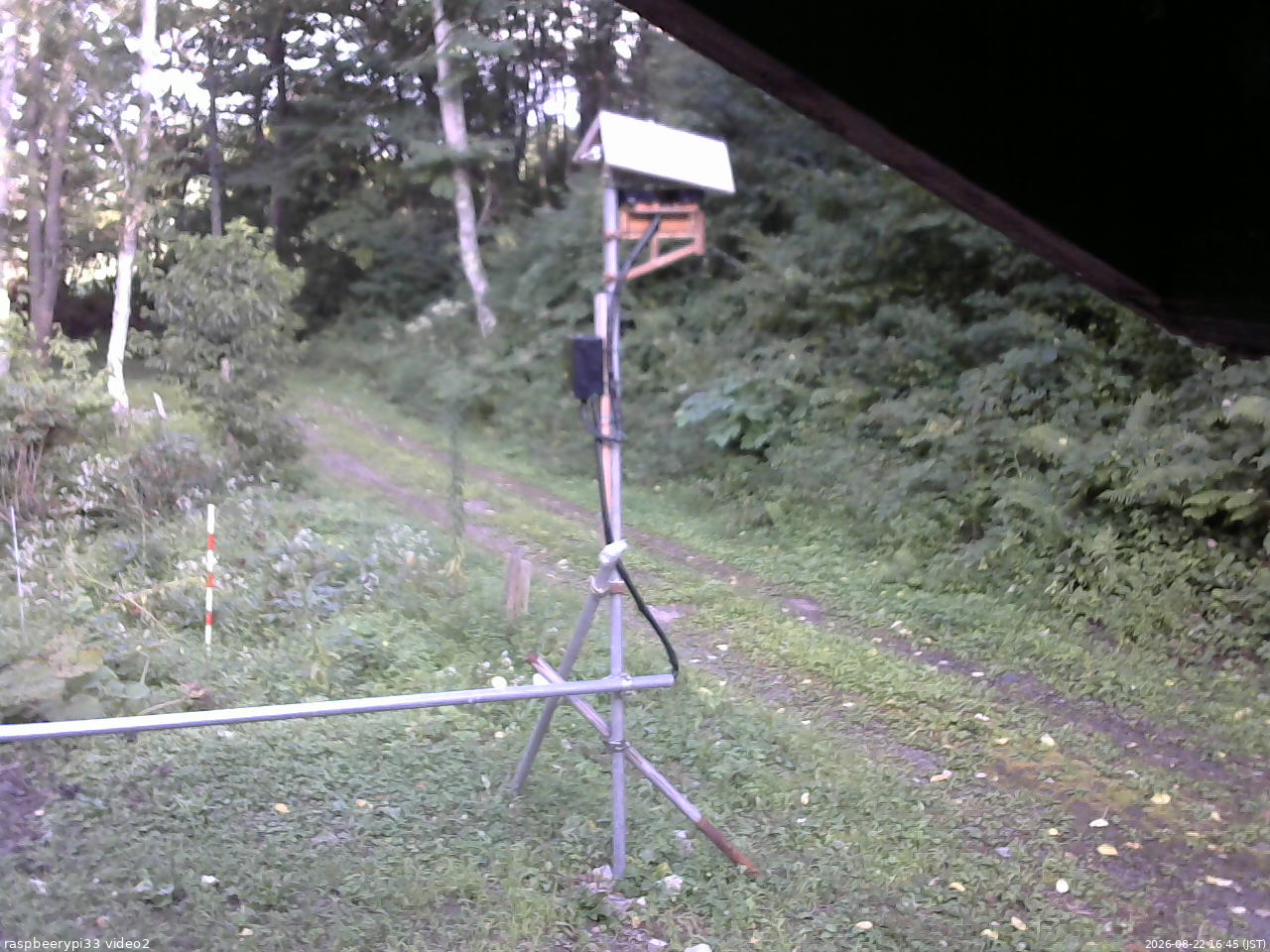 長野県菅平高原 ゆたか山荘 南側 2026/08/22 16:45