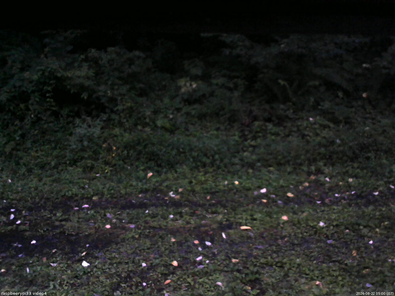 長野県菅平高原 ゆたか山荘 東側(坂下) 2026/08/22 05:00