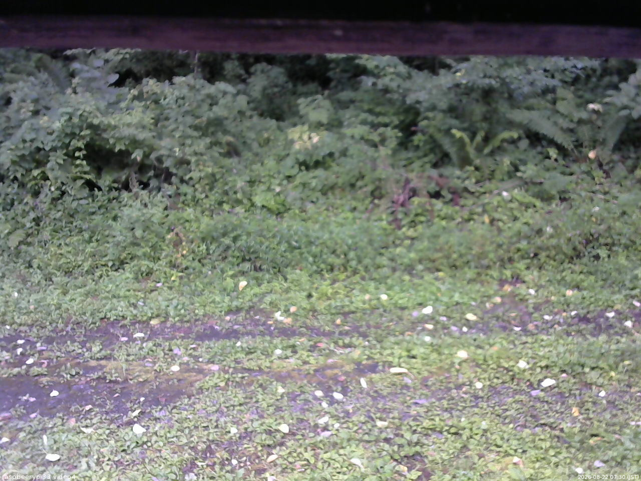 長野県菅平高原 ゆたか山荘 東側(坂下) 2026/08/22 07:30