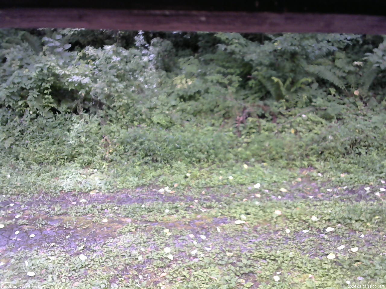 長野県菅平高原 ゆたか山荘 東側(坂下) 2026/08/22 11:00