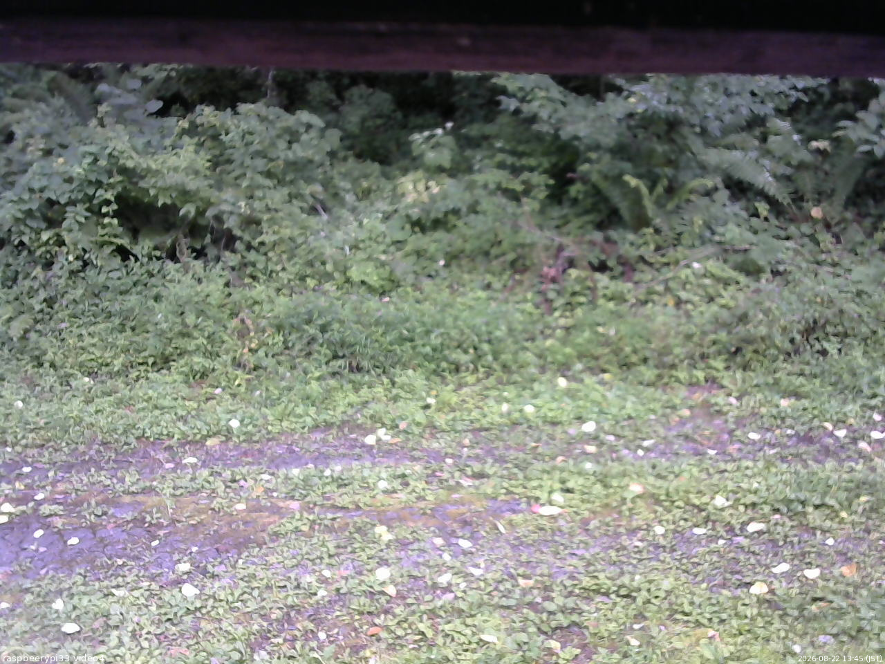 長野県菅平高原 ゆたか山荘 東側(坂下) 2026/08/22 13:45