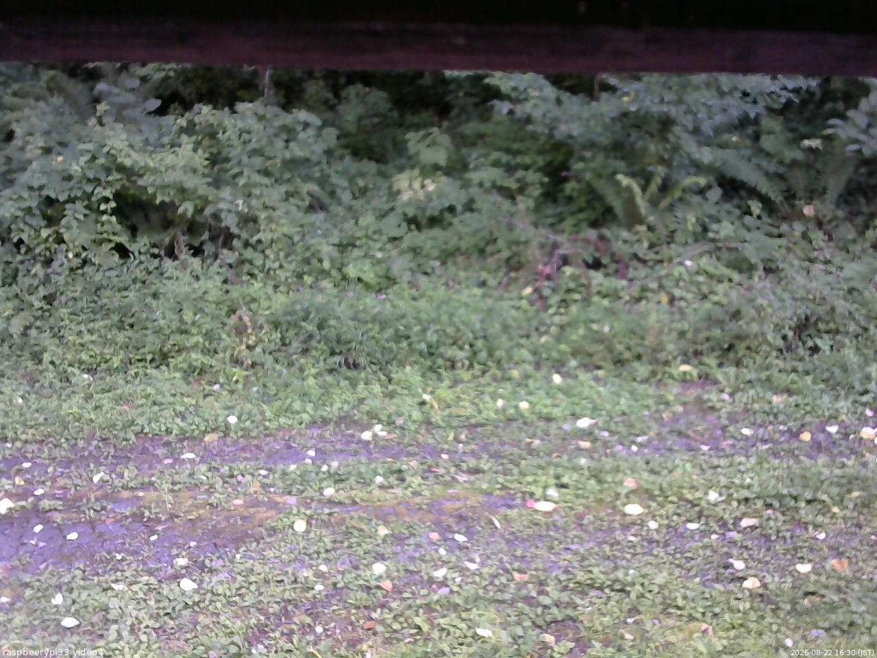長野県菅平高原 ゆたか山荘 東側(坂下) 2026/08/22 16:30
