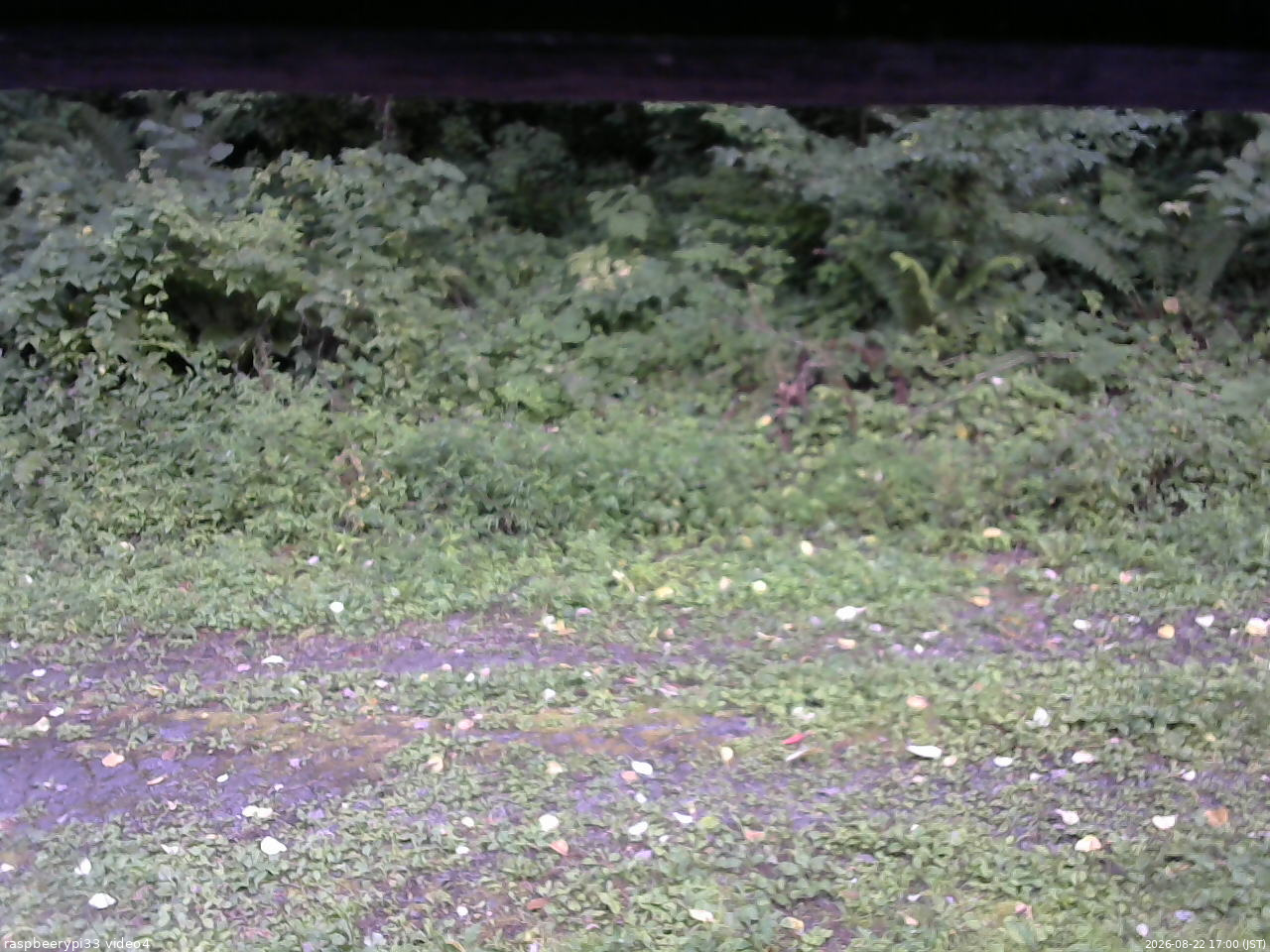 長野県菅平高原 ゆたか山荘 東側(坂下) 2026/08/22 17:00