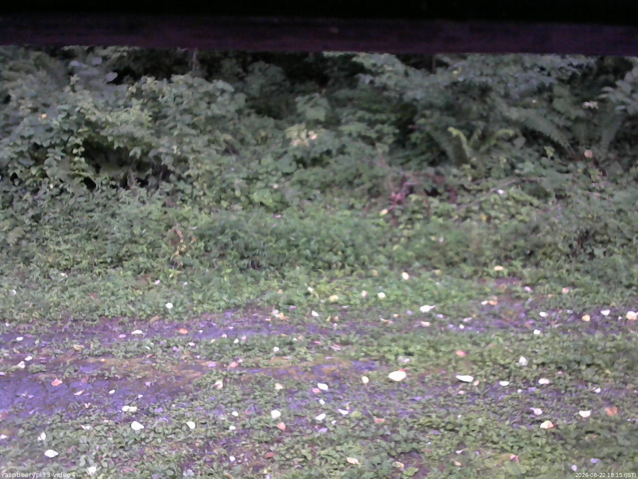 長野県菅平高原 ゆたか山荘 東側(坂下) 2026/08/22 18:15