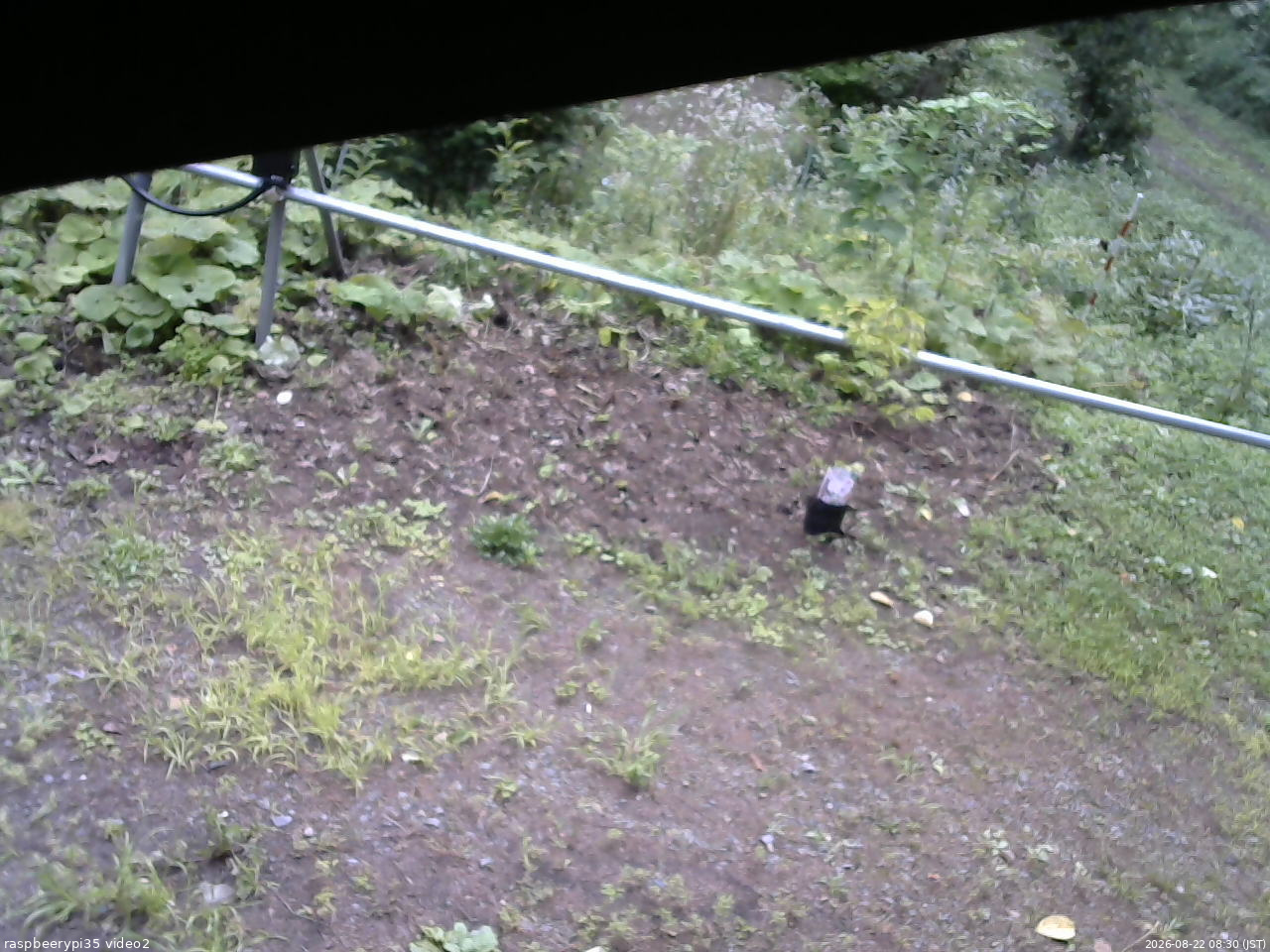 長野県菅平高原 ゆたか山荘 駐車場 2026/08/22 08:30