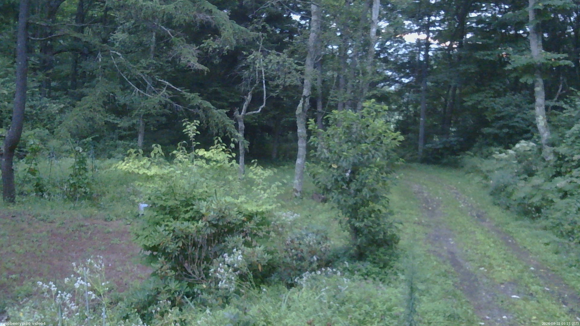 長野県菅平高原 ゆたか山荘 坂上 2026/08/22 05:15