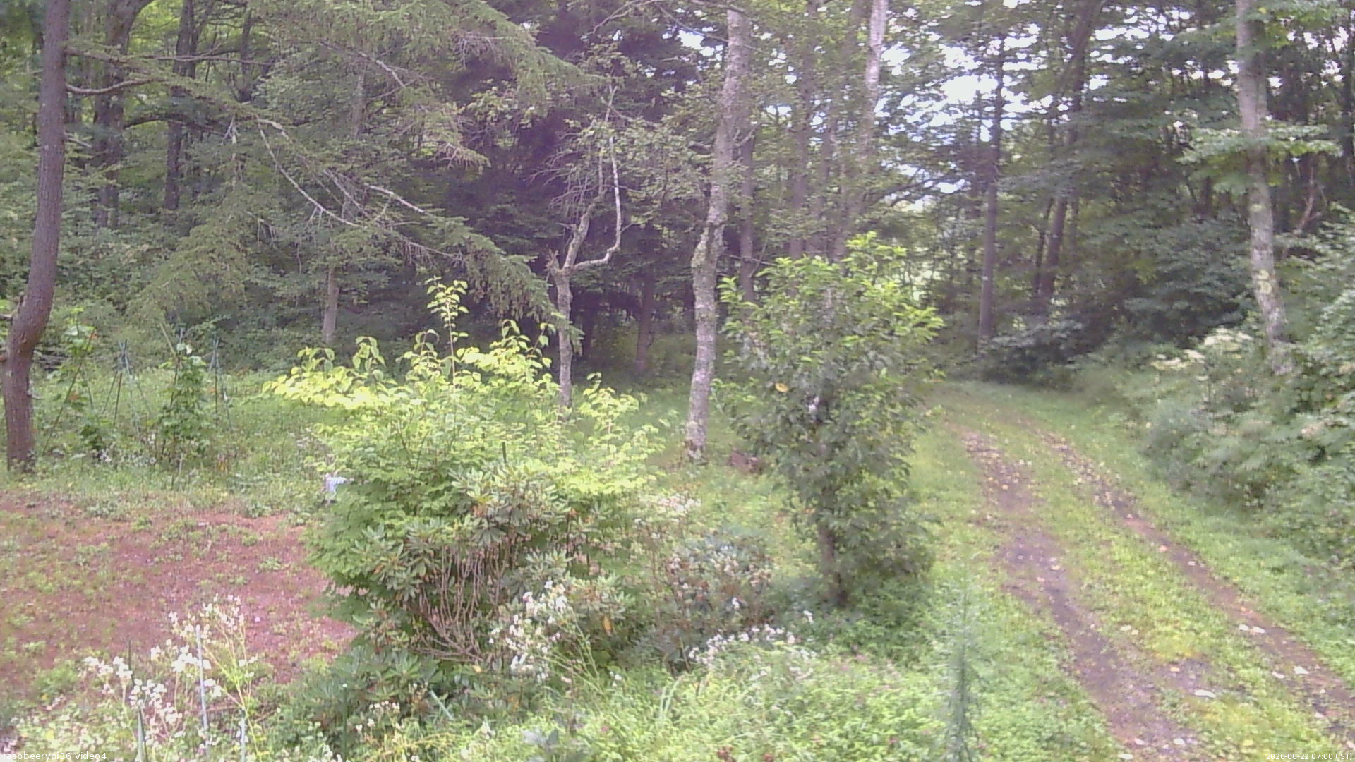長野県菅平高原 ゆたか山荘 坂上 2026/08/22 07:00