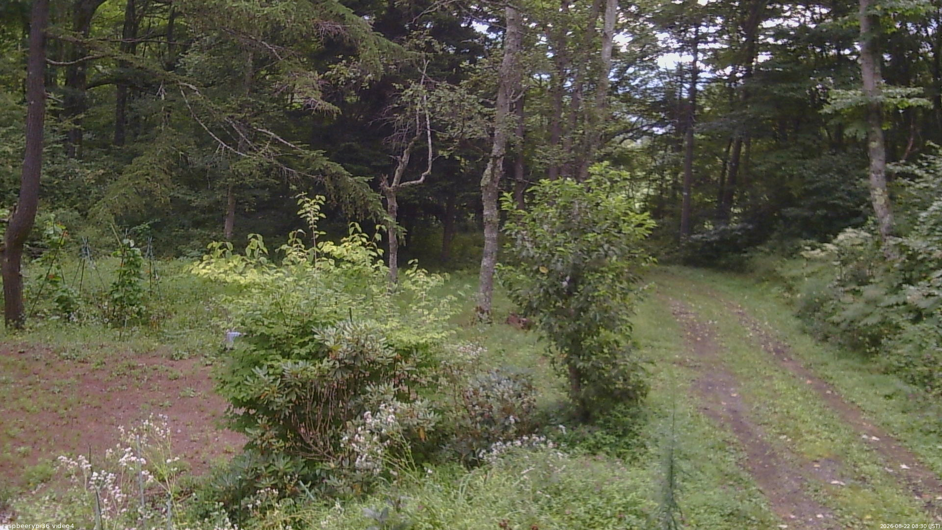 長野県菅平高原 ゆたか山荘 坂上 2026/08/22 08:30