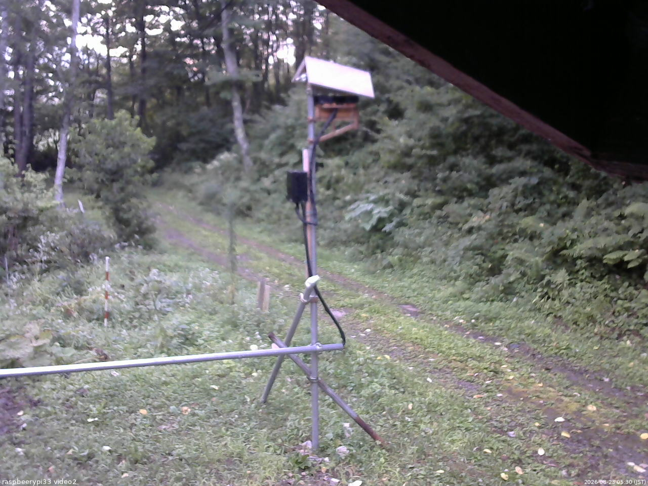 長野県菅平高原 ゆたか山荘 南側 2026/08/23 05:30