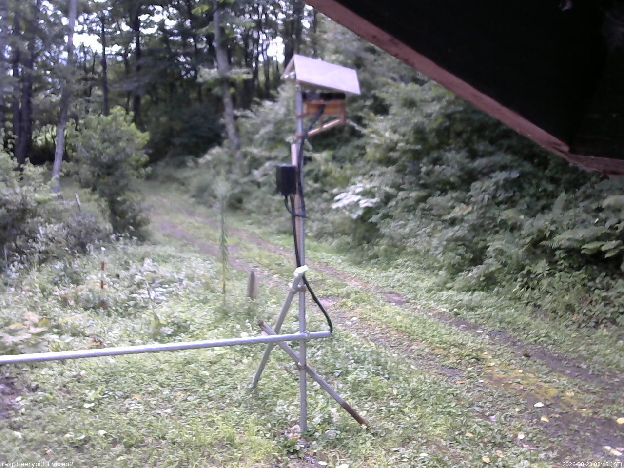 長野県菅平高原 ゆたか山荘 南側 2026/08/23 08:45