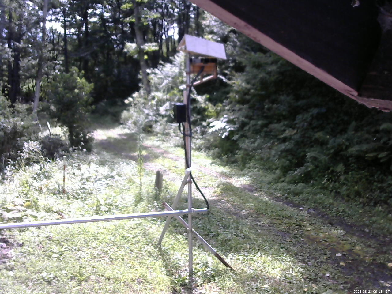 長野県菅平高原 ゆたか山荘 南側 2026/08/23 09:15