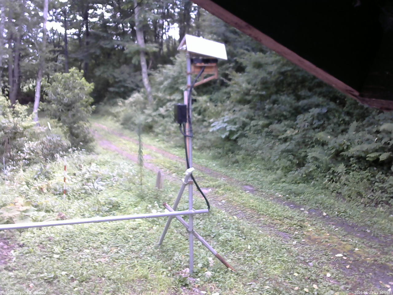 長野県菅平高原 ゆたか山荘 南側 2026/08/23 11:30