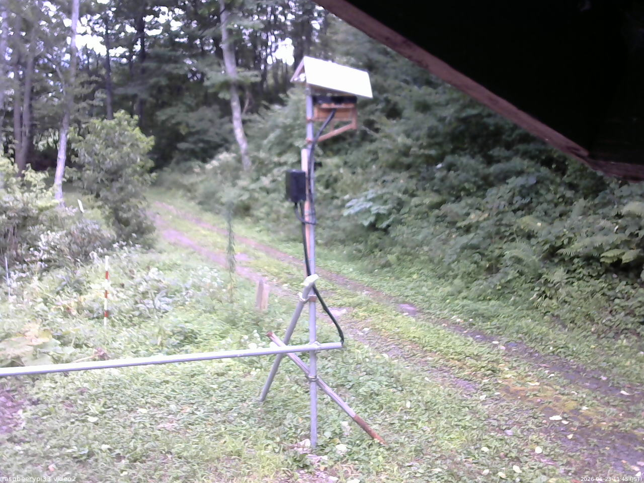 長野県菅平高原 ゆたか山荘 南側 2026/08/23 11:45