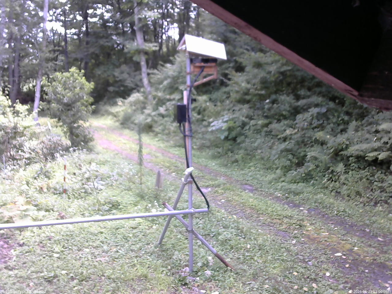 長野県菅平高原 ゆたか山荘 南側 2026/08/23 12:00