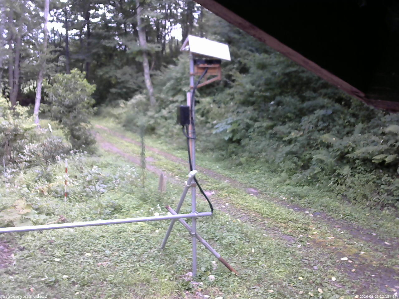 長野県菅平高原 ゆたか山荘 南側 2026/08/23 12:15
