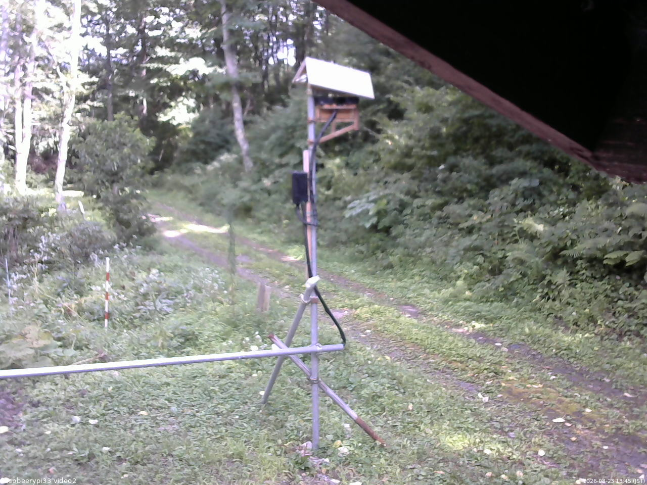 長野県菅平高原 ゆたか山荘 南側 2026/08/23 13:45