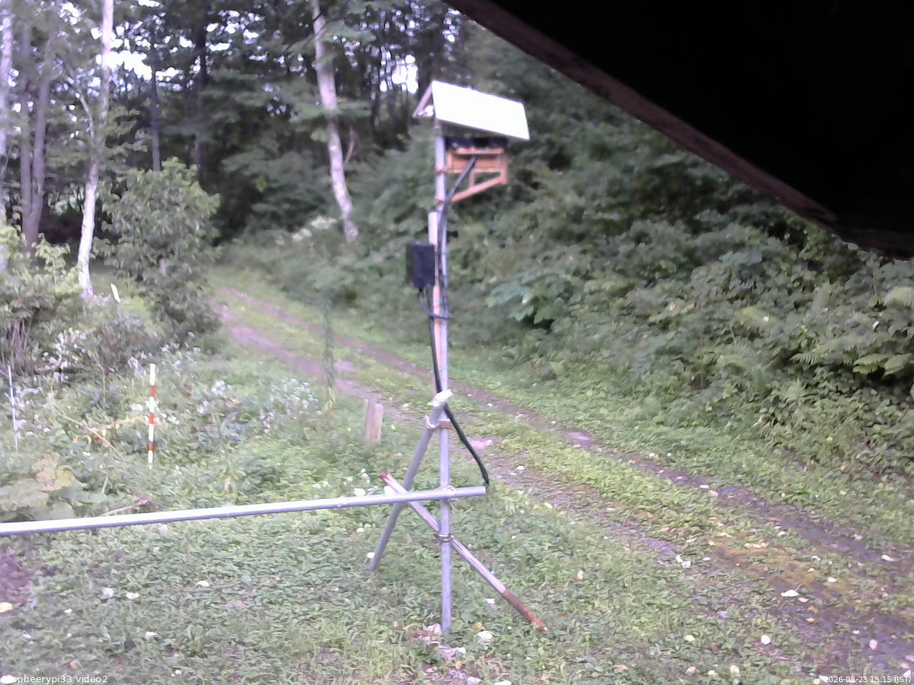 長野県菅平高原 ゆたか山荘 南側 2026/08/23 15:15