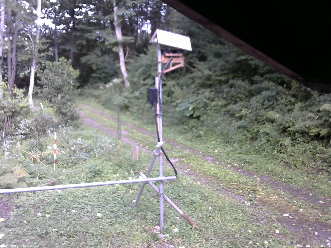長野県菅平高原 ゆたか山荘 南側 2026/08/23 15:30