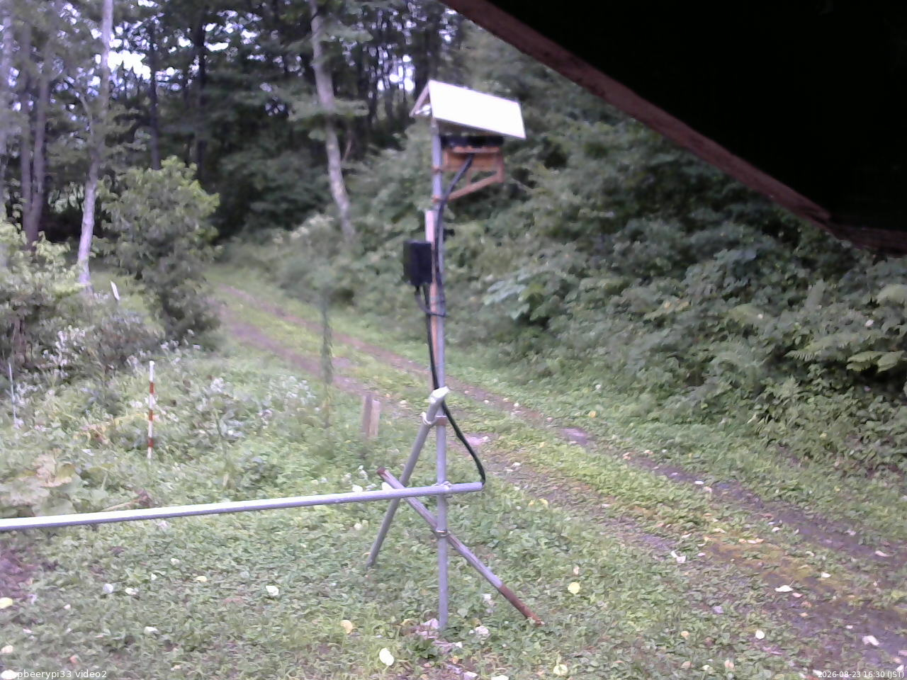 長野県菅平高原 ゆたか山荘 南側 2026/08/23 16:30
