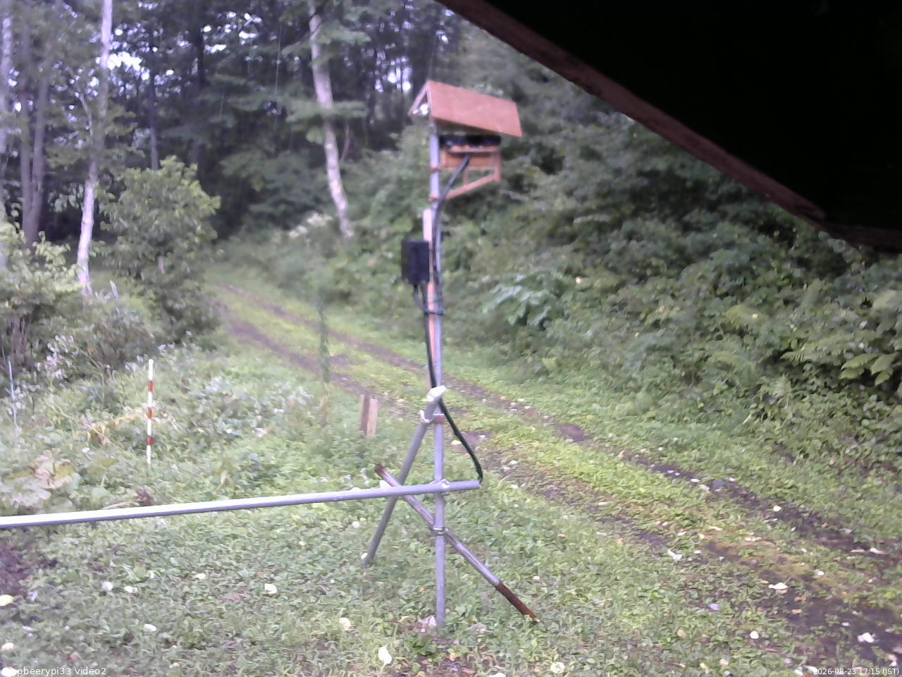 長野県菅平高原 ゆたか山荘 南側 2026/08/23 17:15