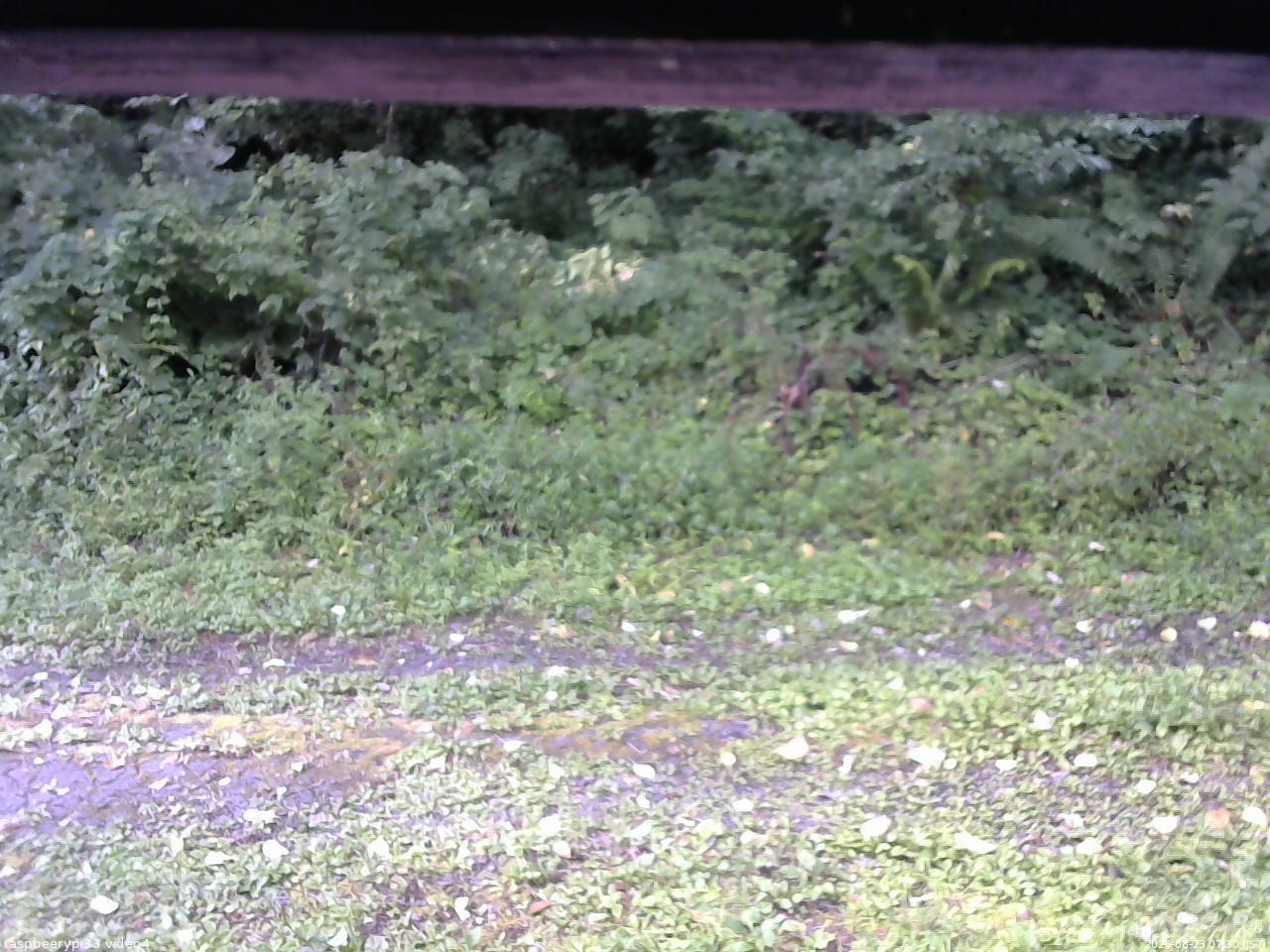 長野県菅平高原 ゆたか山荘 東側(坂下) 2026/08/23 07:30