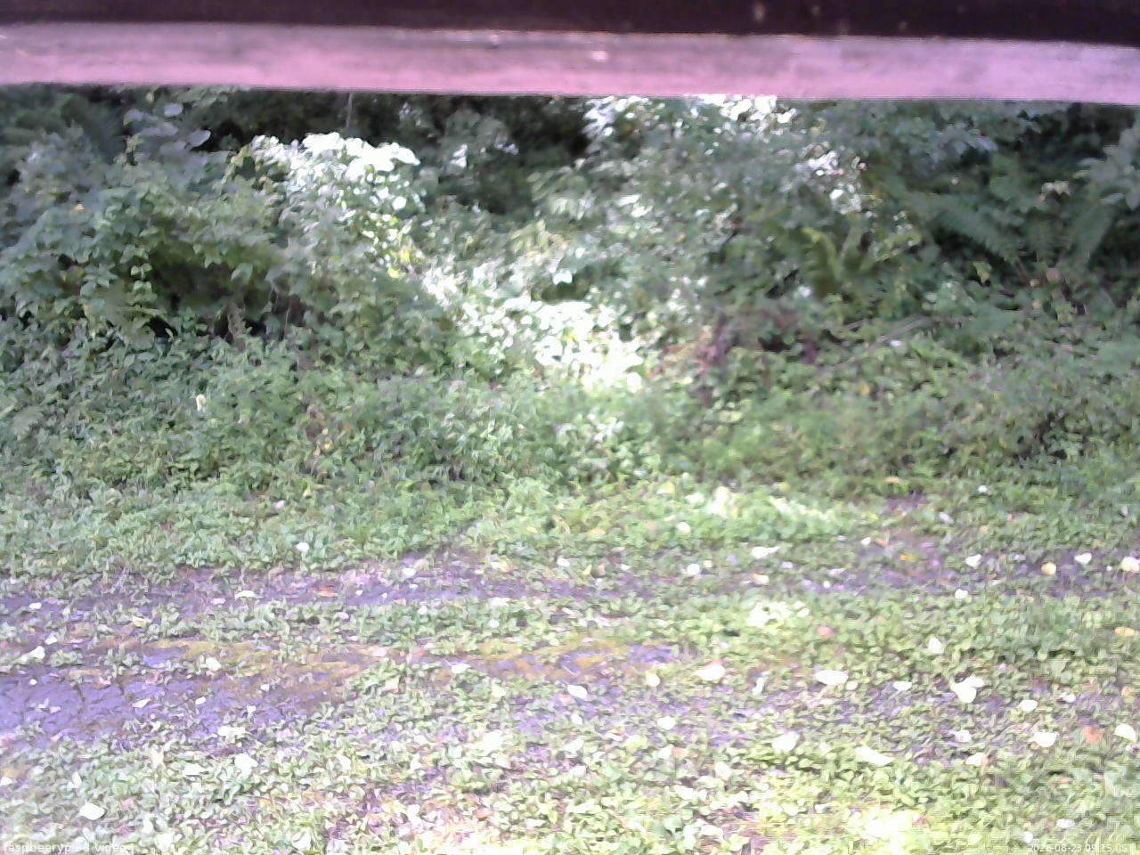 長野県菅平高原 ゆたか山荘 東側(坂下) 2026/08/23 09:15