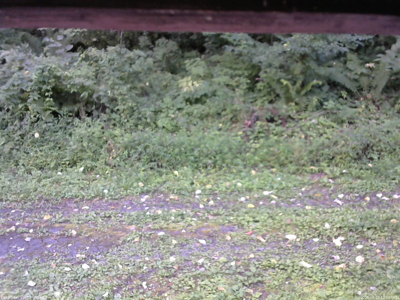 長野県菅平高原 ゆたか山荘 東側(坂下) 2026/08/23 12:00