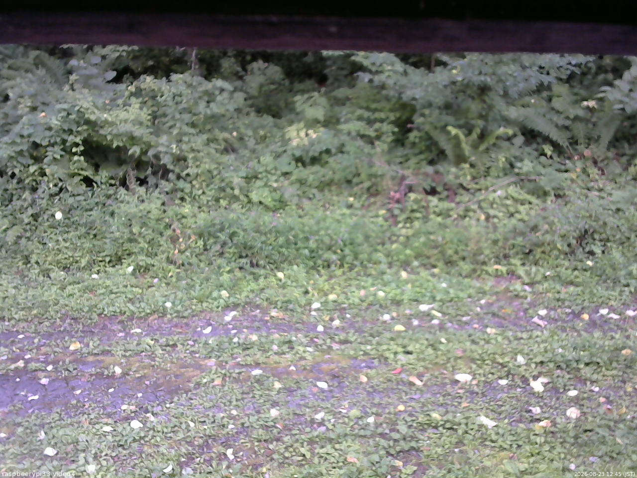 長野県菅平高原 ゆたか山荘 東側(坂下) 2026/08/23 12:45