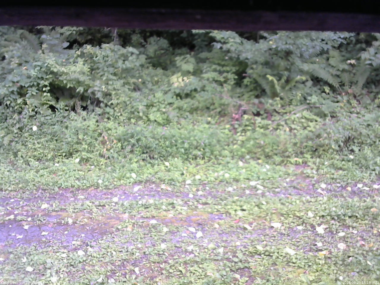 長野県菅平高原 ゆたか山荘 東側(坂下) 2026/08/23 15:15