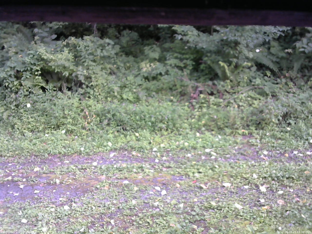 長野県菅平高原 ゆたか山荘 東側(坂下) 2026/08/23 15:30