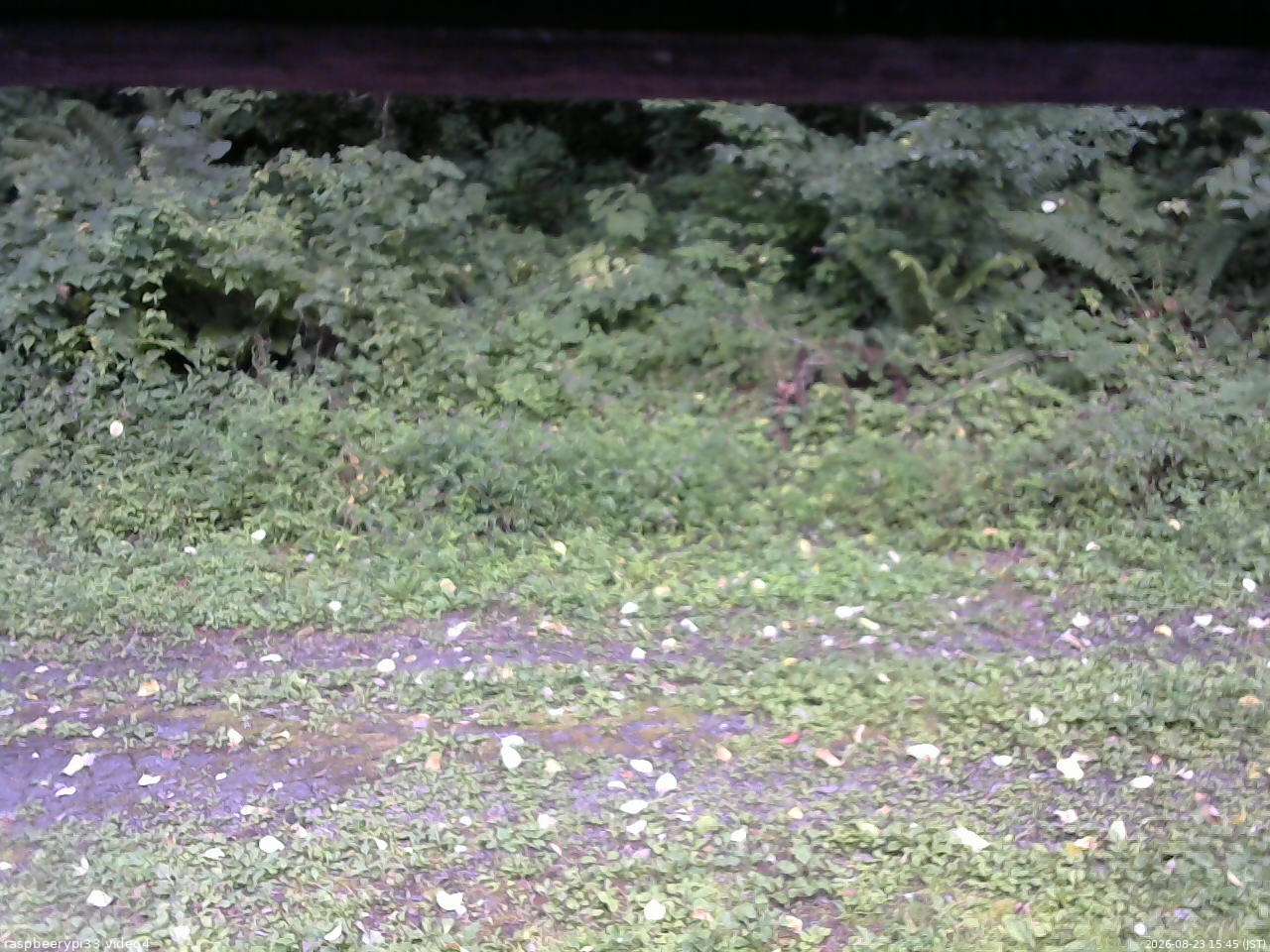 長野県菅平高原 ゆたか山荘 東側(坂下) 2026/08/23 15:45