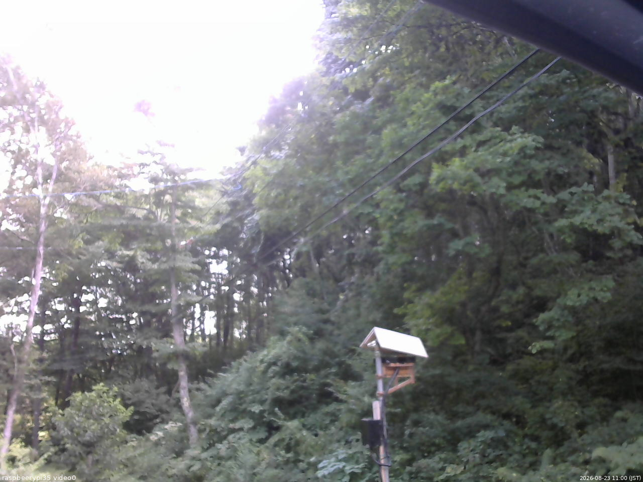 長野県菅平高原 ゆたか山荘 温度計 2026/08/23 11:00