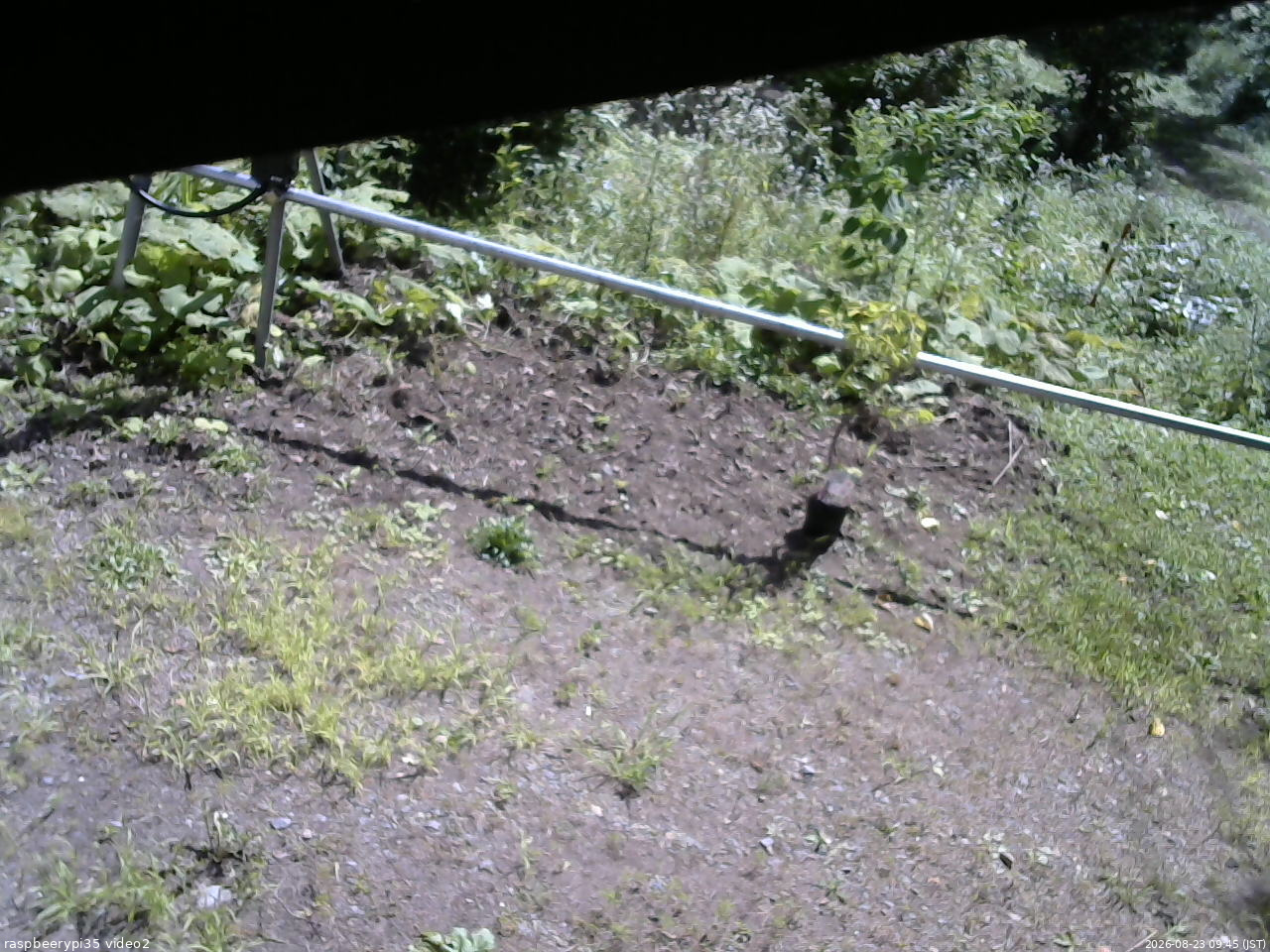 長野県菅平高原 ゆたか山荘 駐車場 2026/08/23 09:45