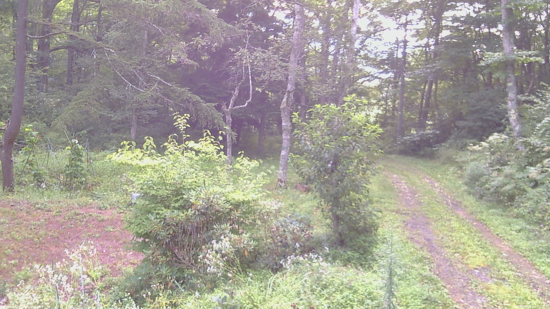 長野県菅平高原 ゆたか山荘 坂上 2026/08/23 06:30