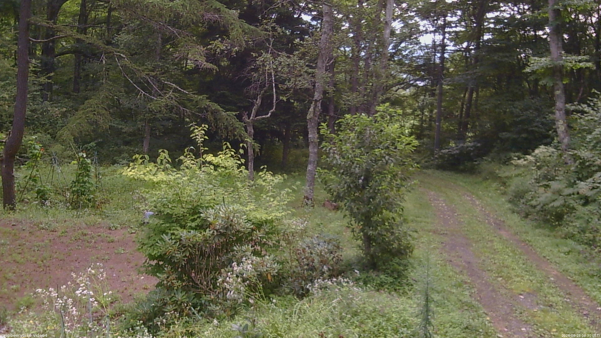 長野県菅平高原 ゆたか山荘 坂上 2026/08/23 08:30
