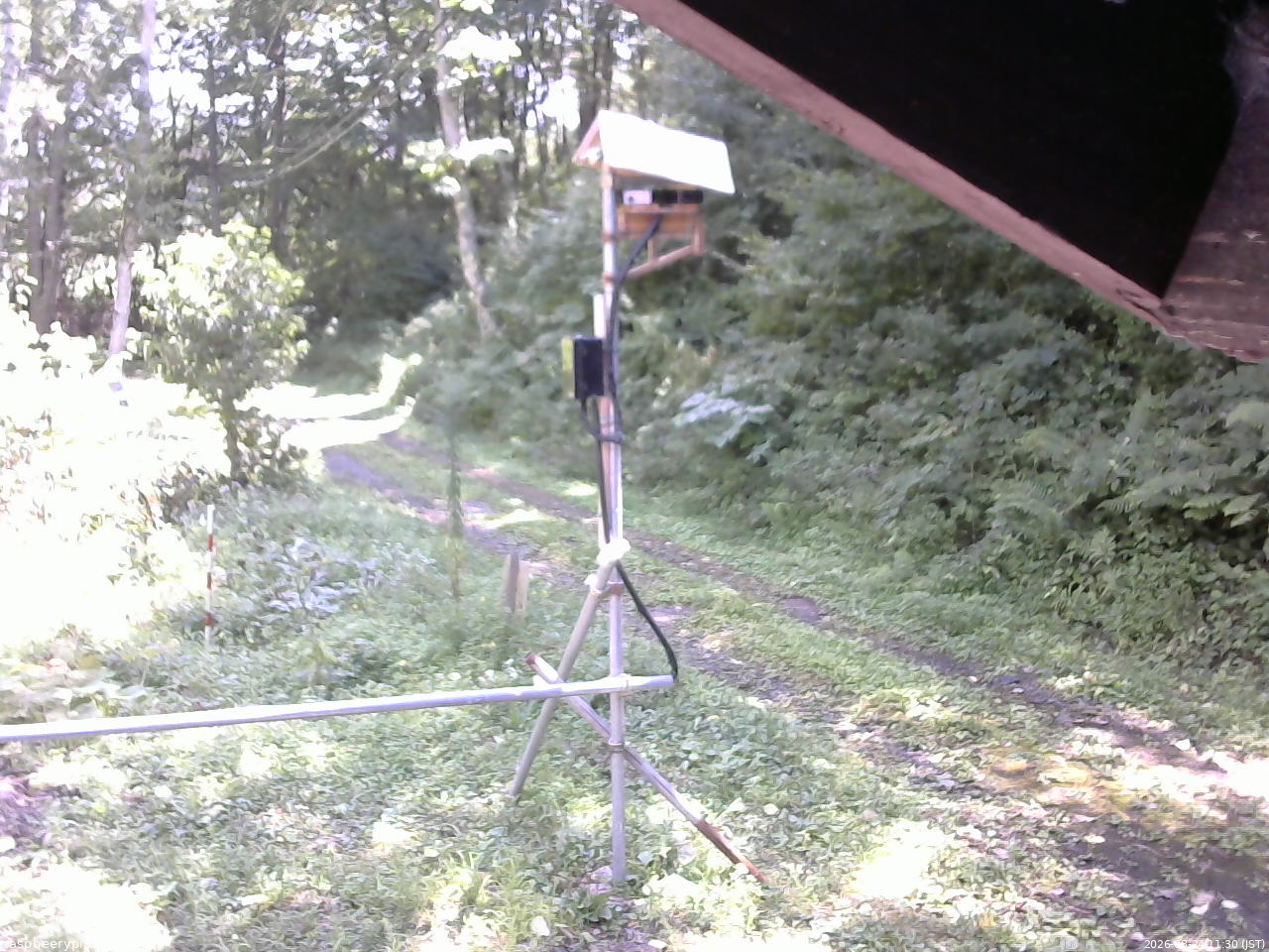 長野県菅平高原 ゆたか山荘 南側 2026/08/24 11:30