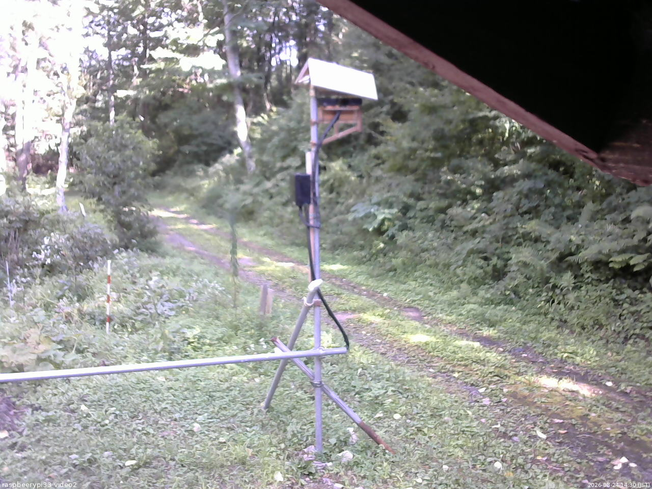 長野県菅平高原 ゆたか山荘 南側 2026/08/24 14:30