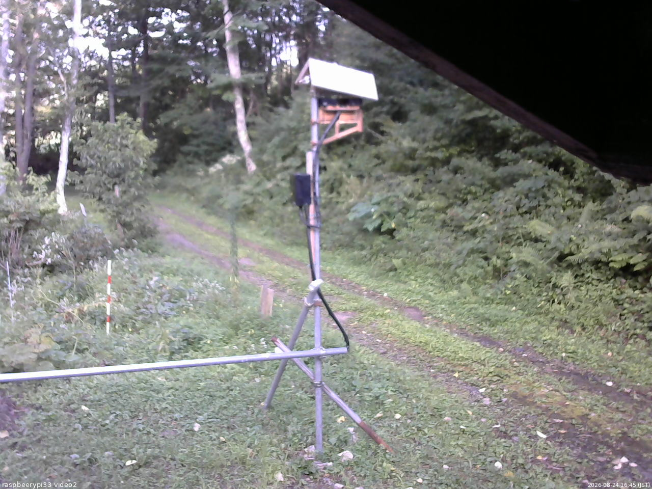 長野県菅平高原 ゆたか山荘 南側 2026/08/24 16:45