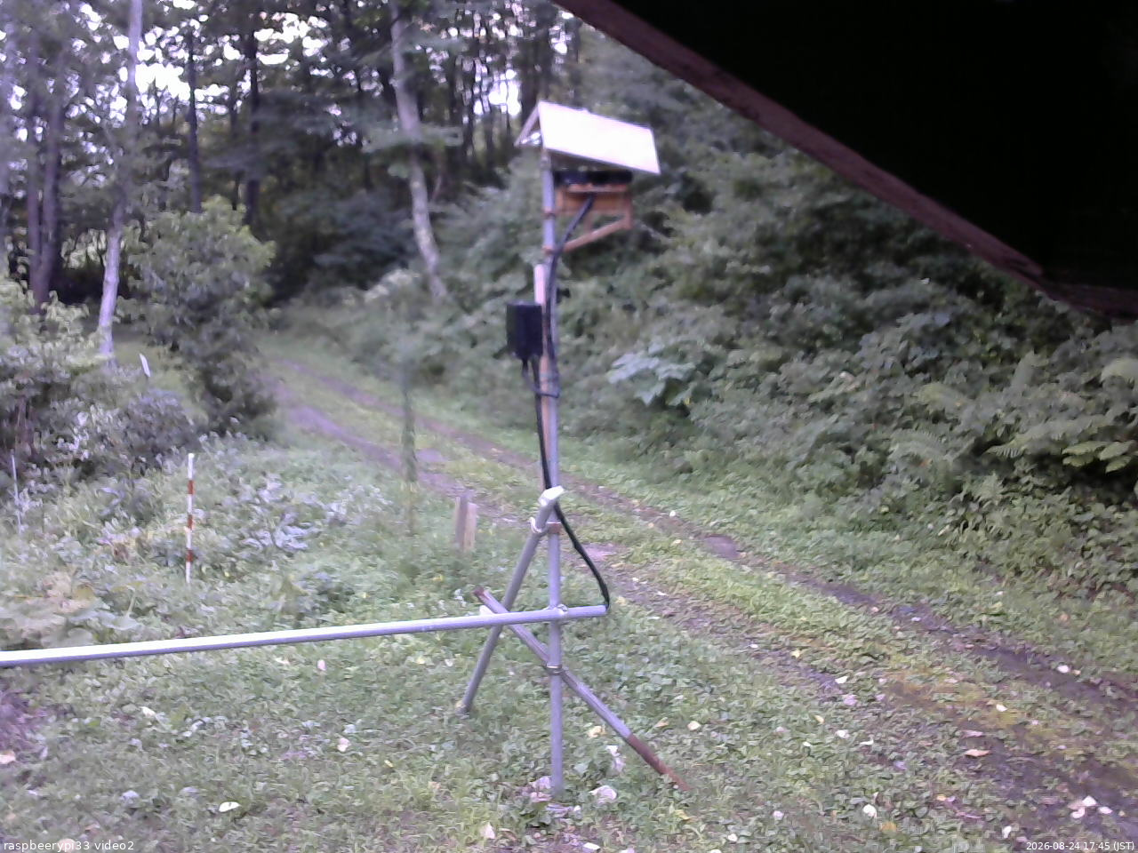 長野県菅平高原 ゆたか山荘 南側 2026/08/24 17:45