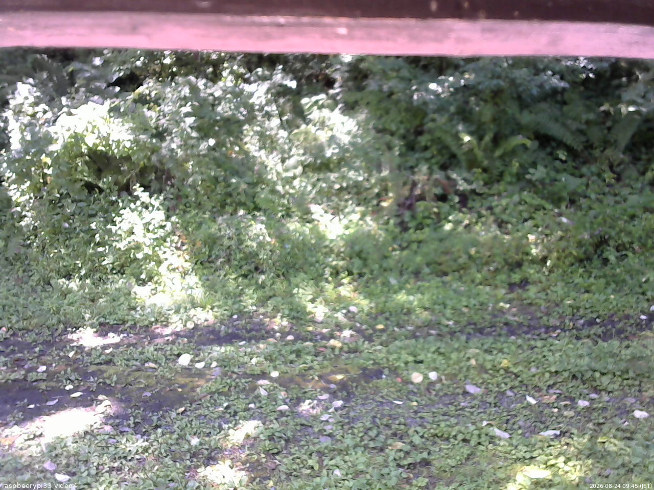 長野県菅平高原 ゆたか山荘 東側(坂下) 2026/08/24 09:45