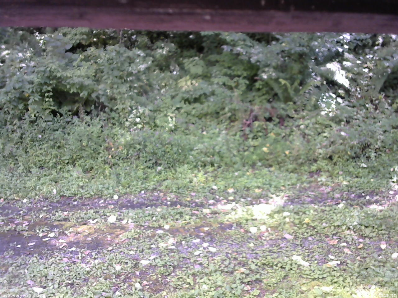長野県菅平高原 ゆたか山荘 東側(坂下) 2026/08/24 13:15