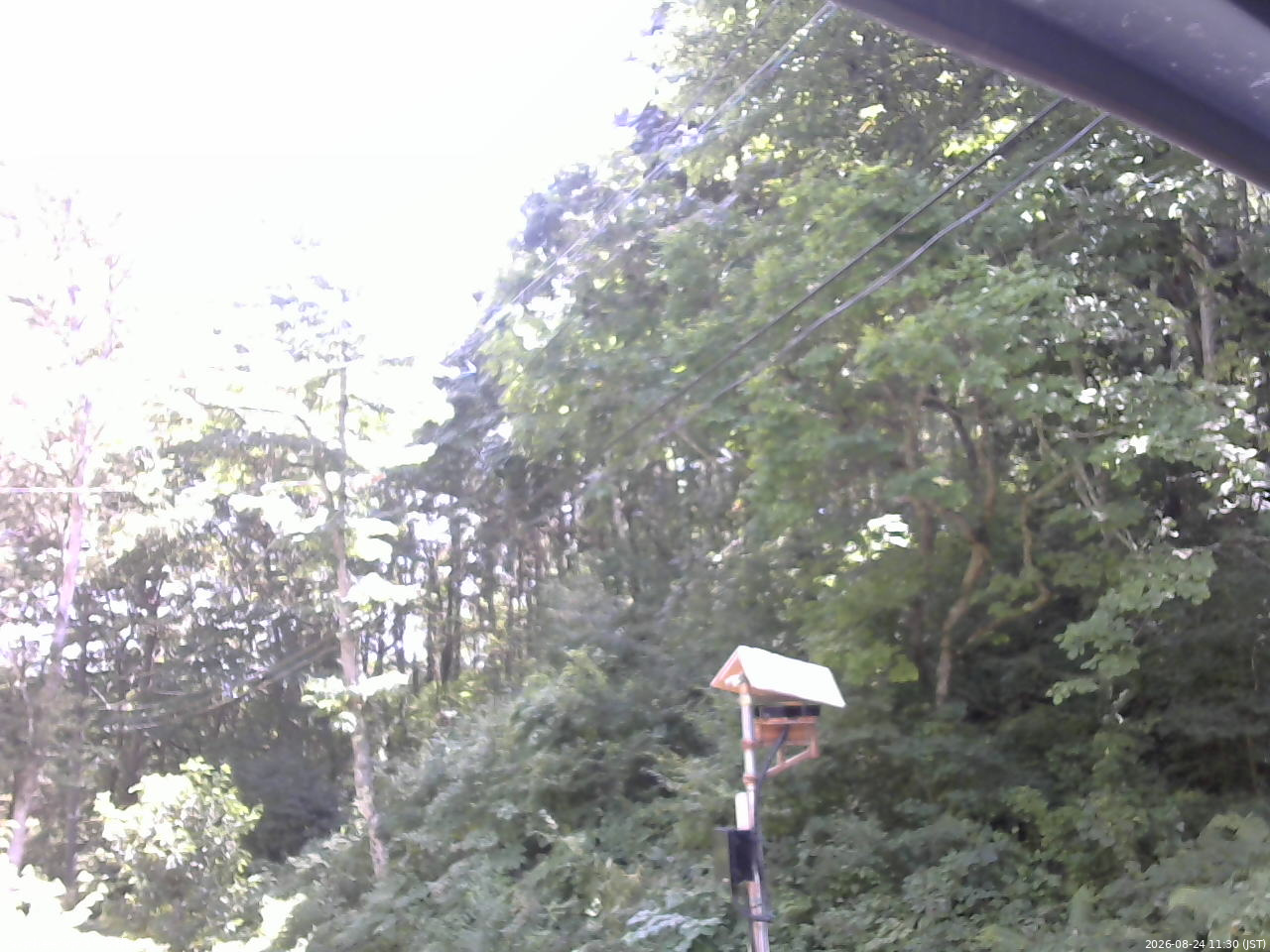 長野県菅平高原 ゆたか山荘 温度計 2026/08/24 11:30