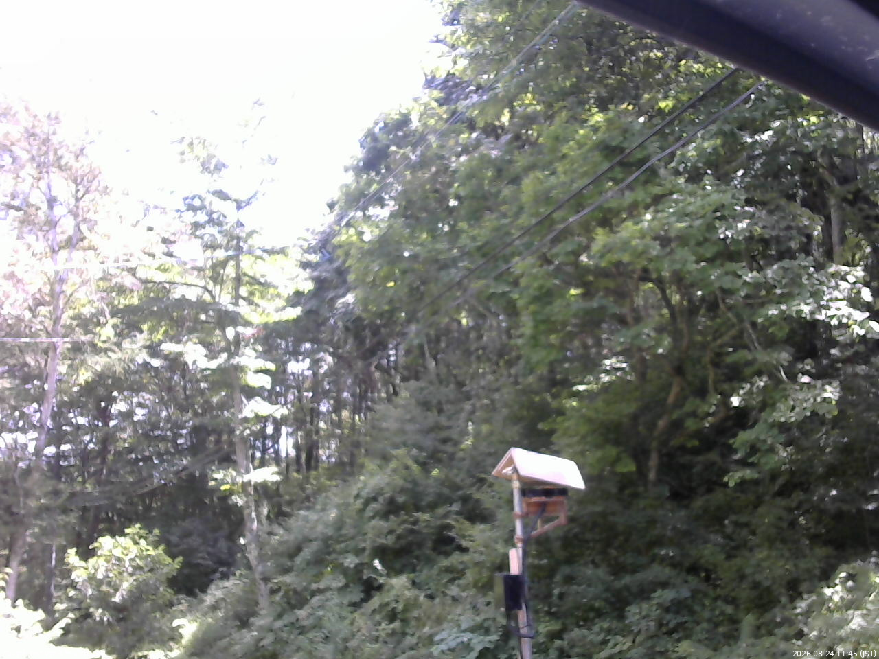 長野県菅平高原 ゆたか山荘 温度計 2026/08/24 11:45