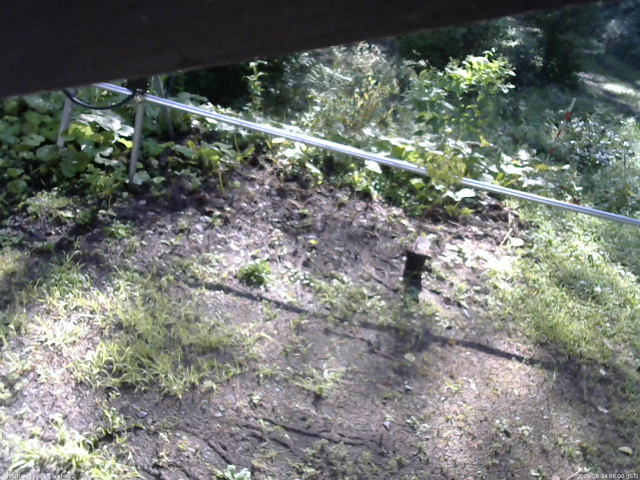 長野県菅平高原 ゆたか山荘 駐車場 2026/08/24 08:00