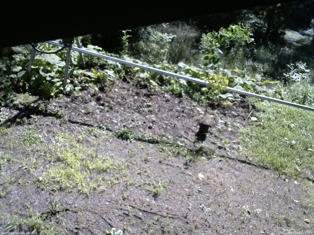 長野県菅平高原 ゆたか山荘 駐車場 2026/08/24 08:45